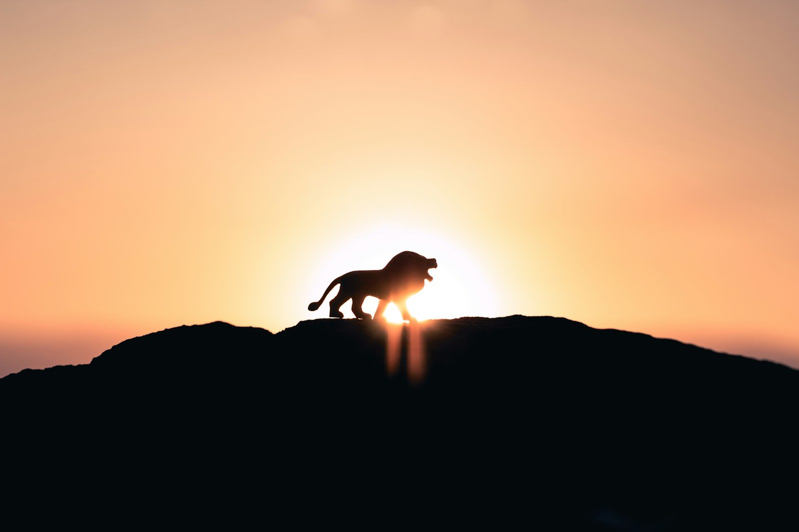 Which Zodiac Sign Would Dominate the Animal Kingdom?