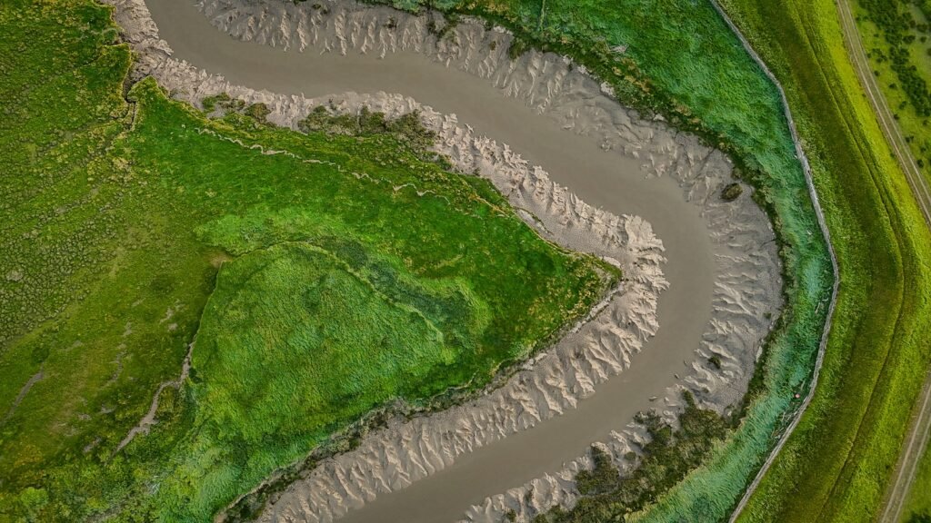 A winding river flows through the vibrant green landscape.