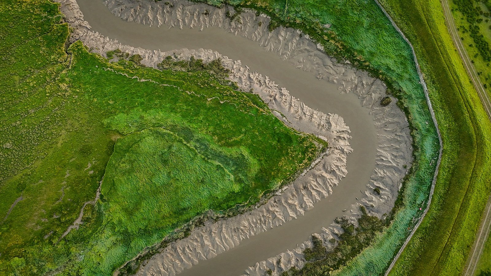 11 U.S. Salt Marshes Bouncing Back – Carbon Benefits Measured