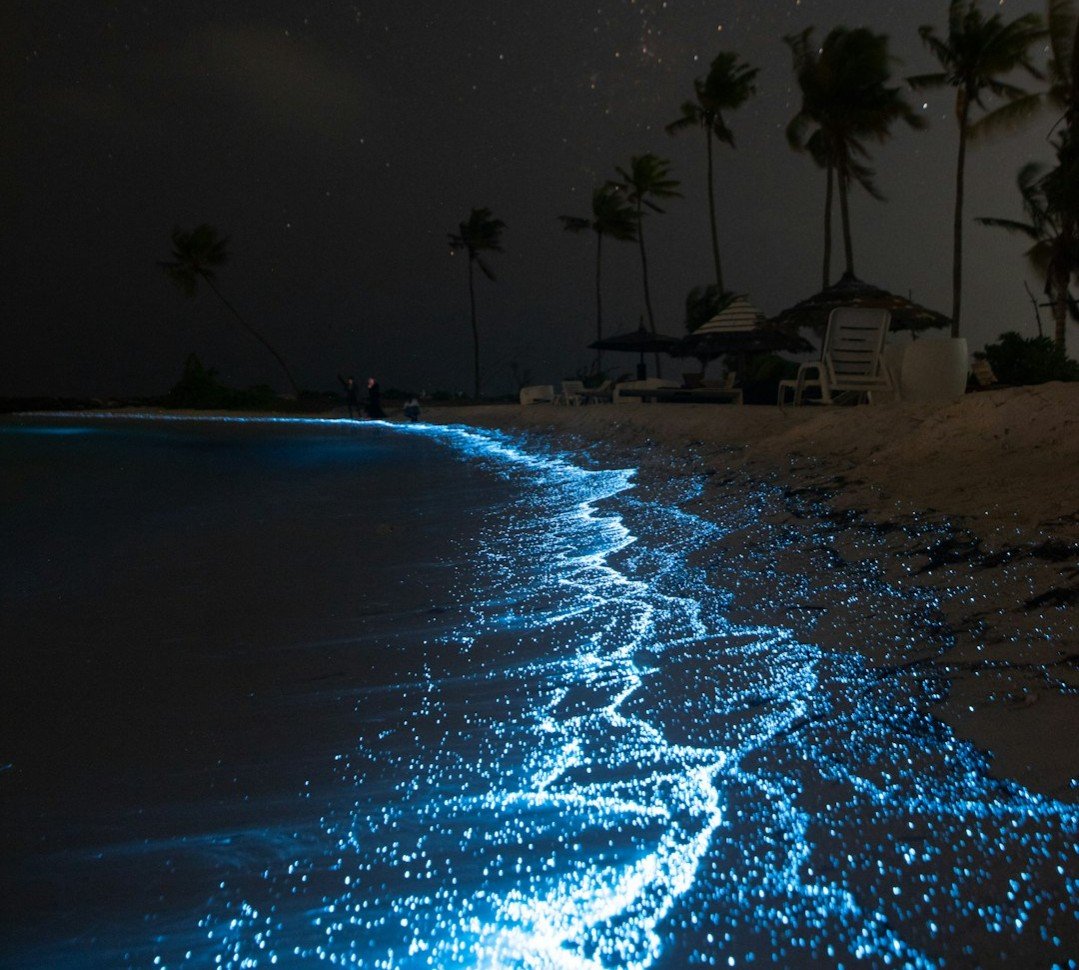 10 U.S. Beaches That Glow at Night (And Why It Happens)