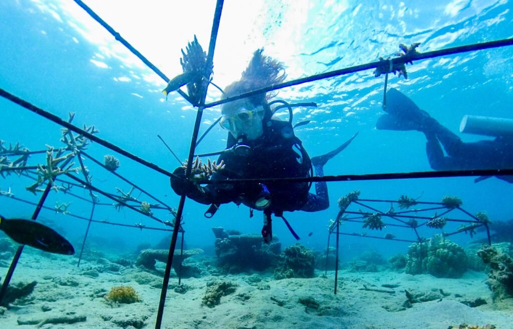 Coral Fragments of Opportunity Get Second Chances at Life