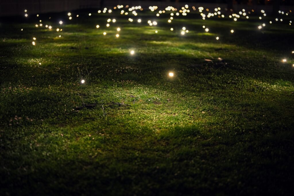 Small lights sparkle across a grassy field.