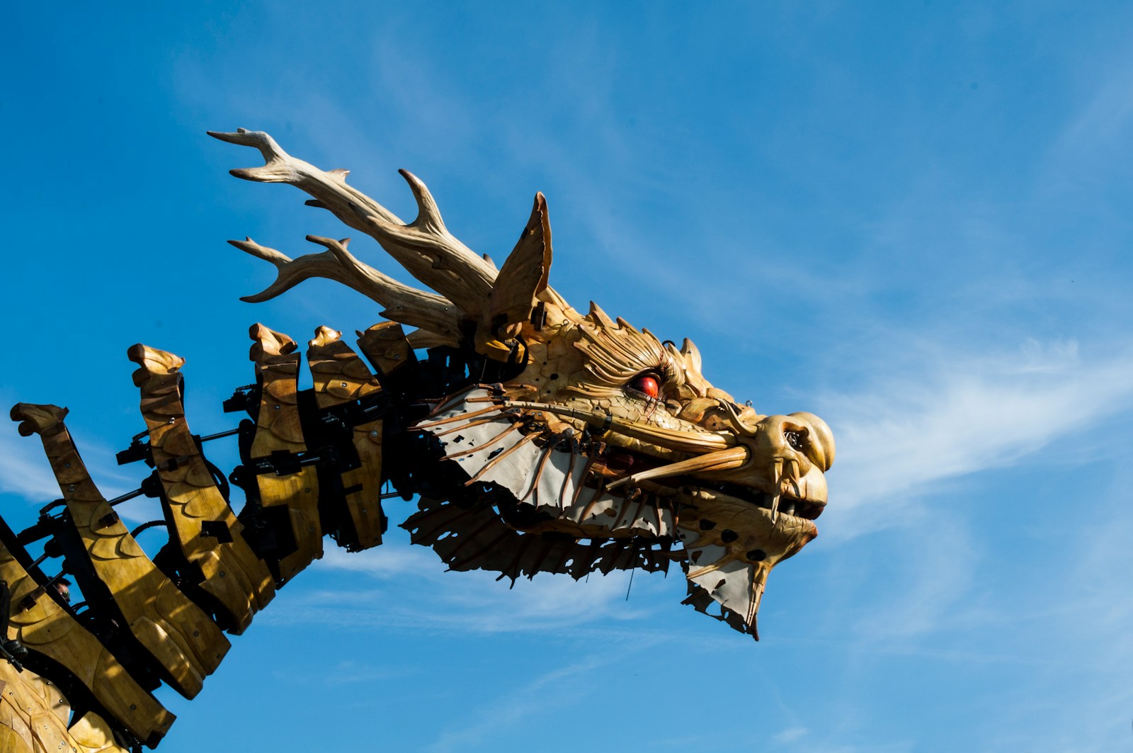 If You Were an Animal in Dungeons & Dragons, What Class Would You Be?