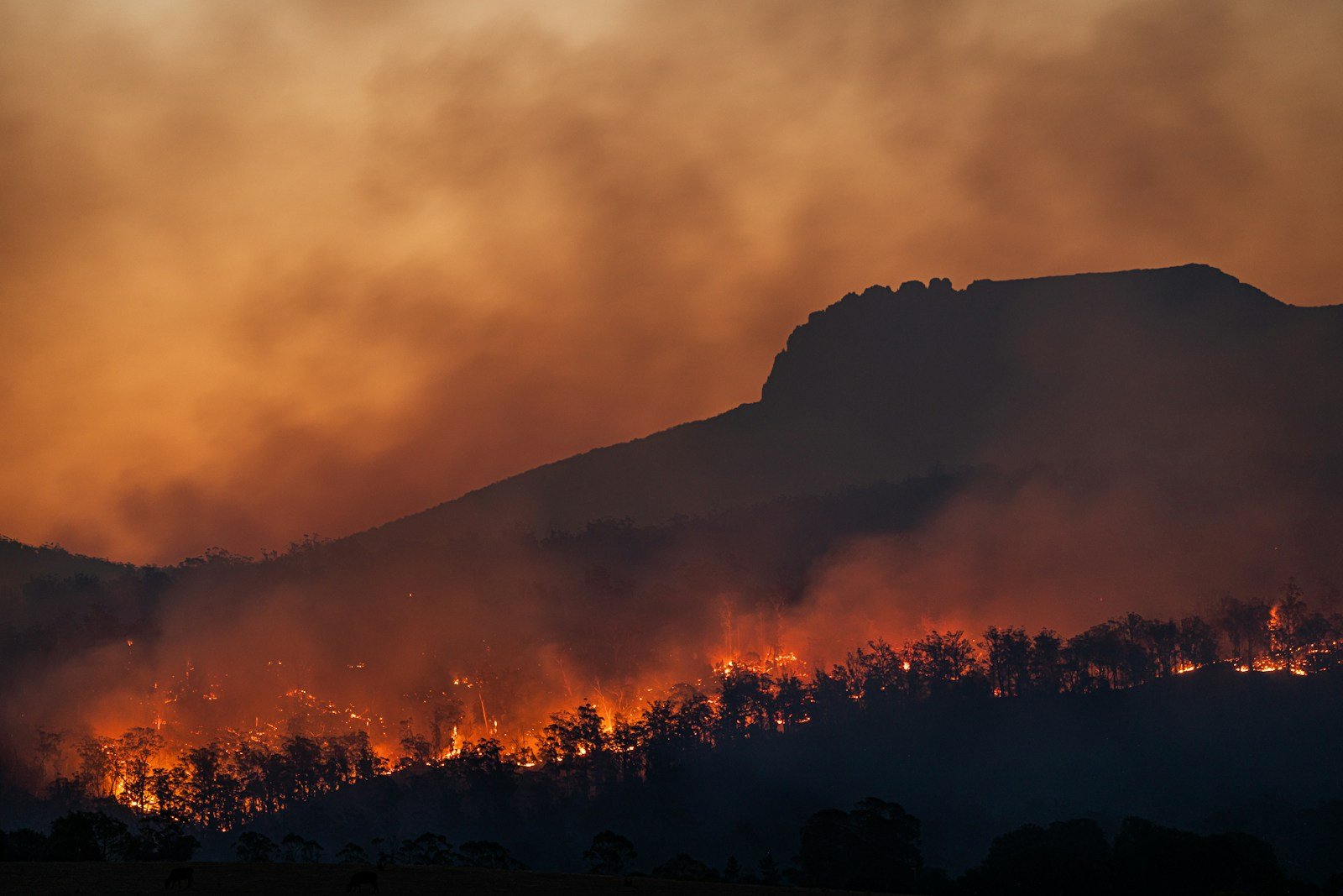 Why Wildfires in California Are Burning Hotter and Longer – Explained by Scientists