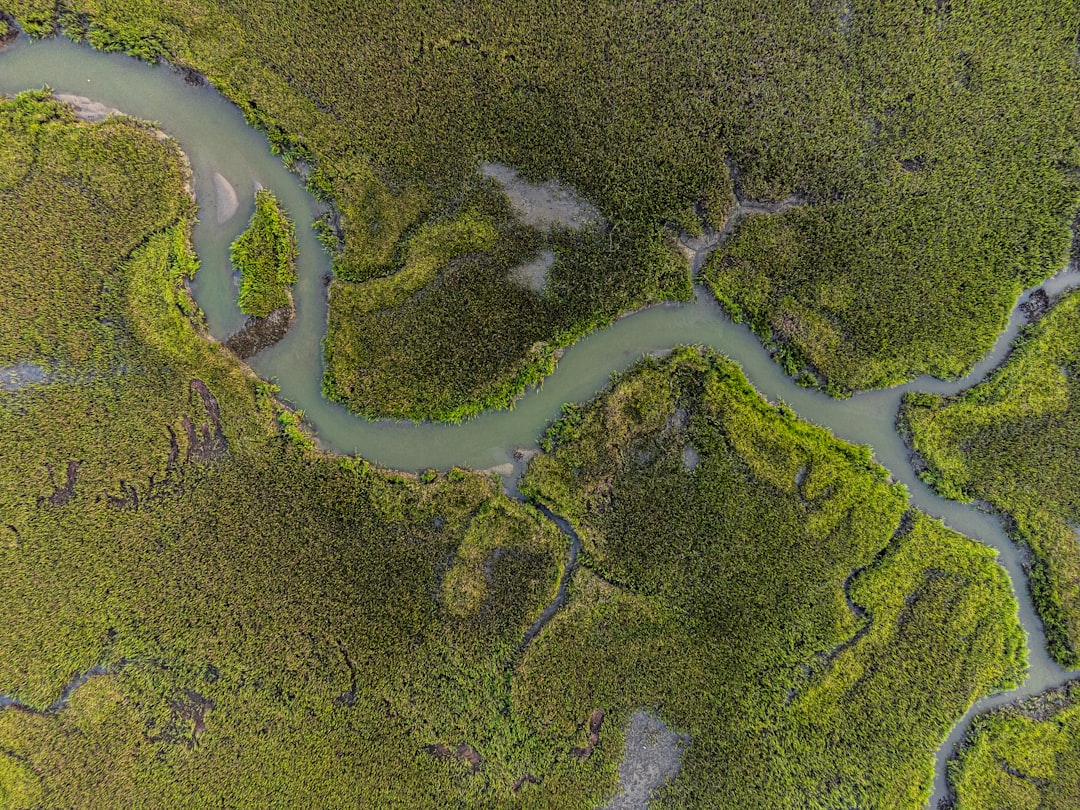 9 American Wetlands Brought Back from the Brink