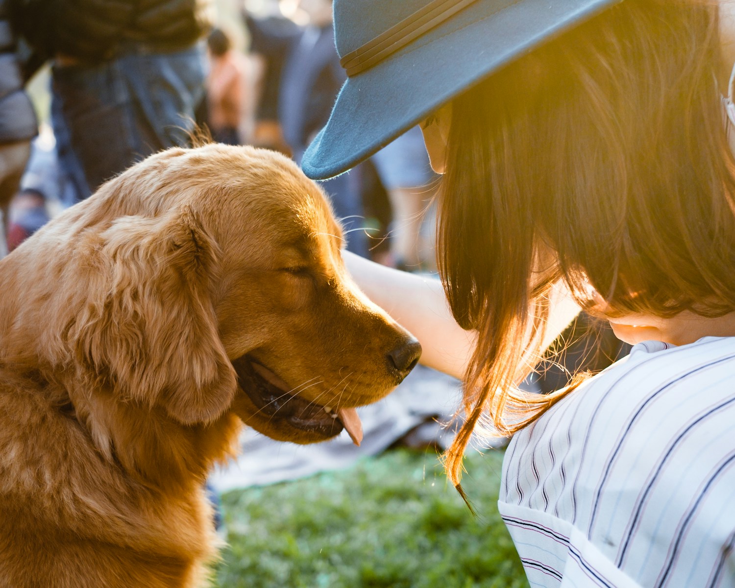 The Pet Each Zodiac Sign Should Never Own
