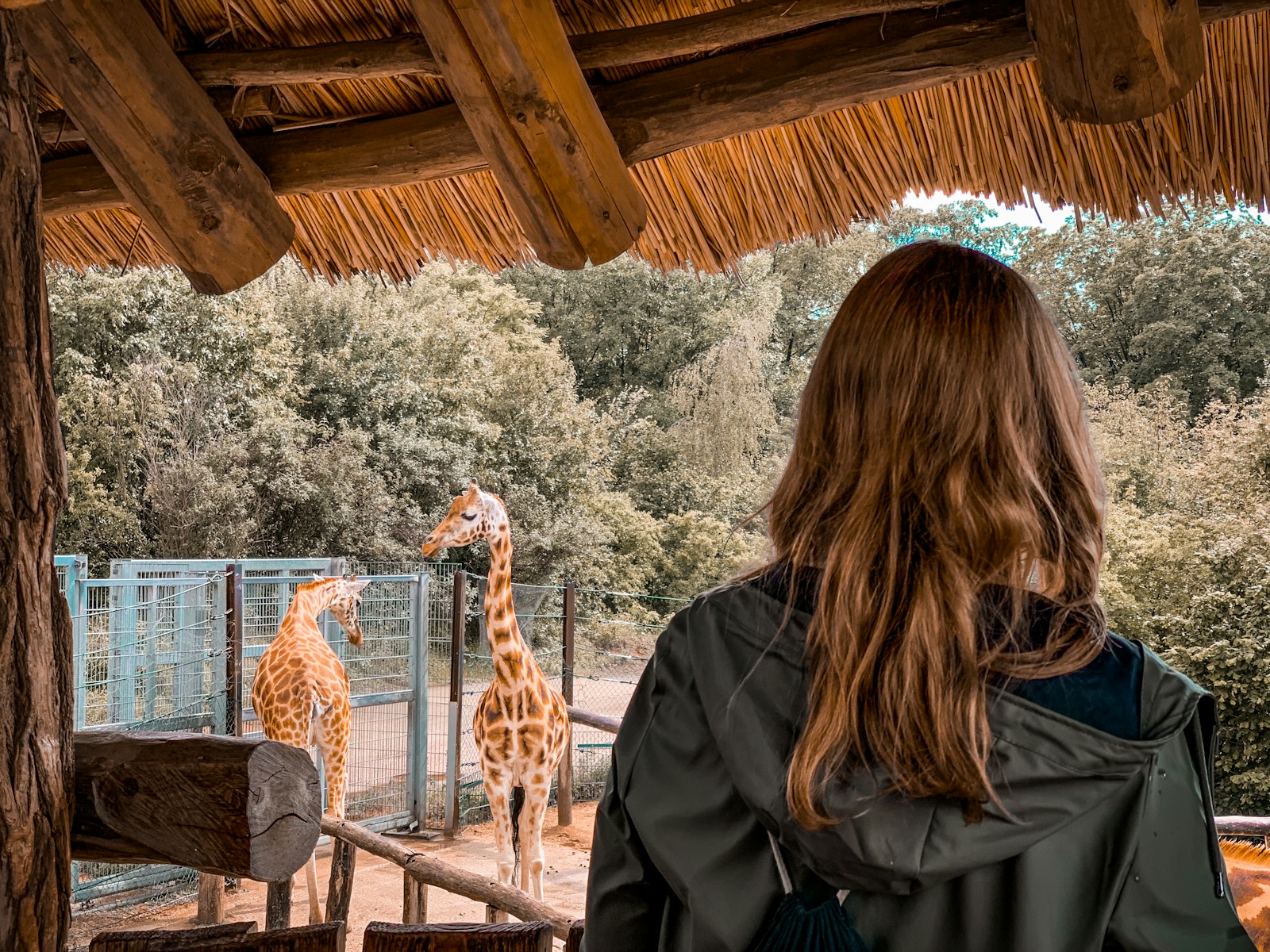 How Each Zodiac Sign Would Behave in a Zoo