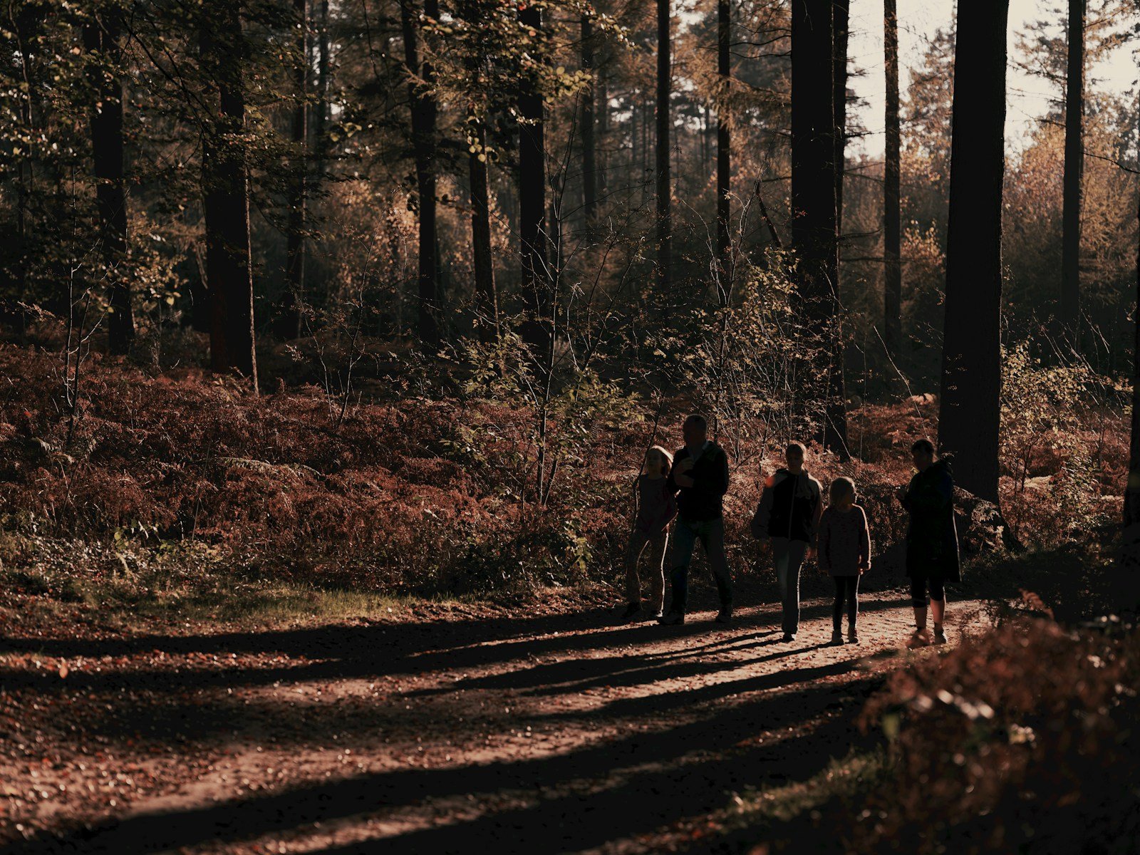 How Zodiac Signs Might Survive in the Wild