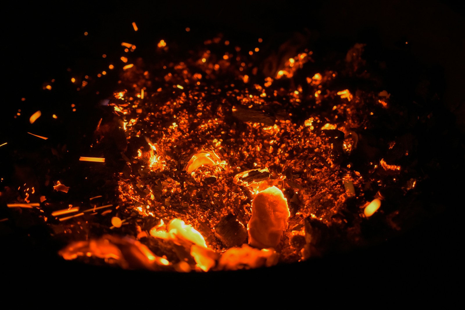 The Forest That Burns Without Fire