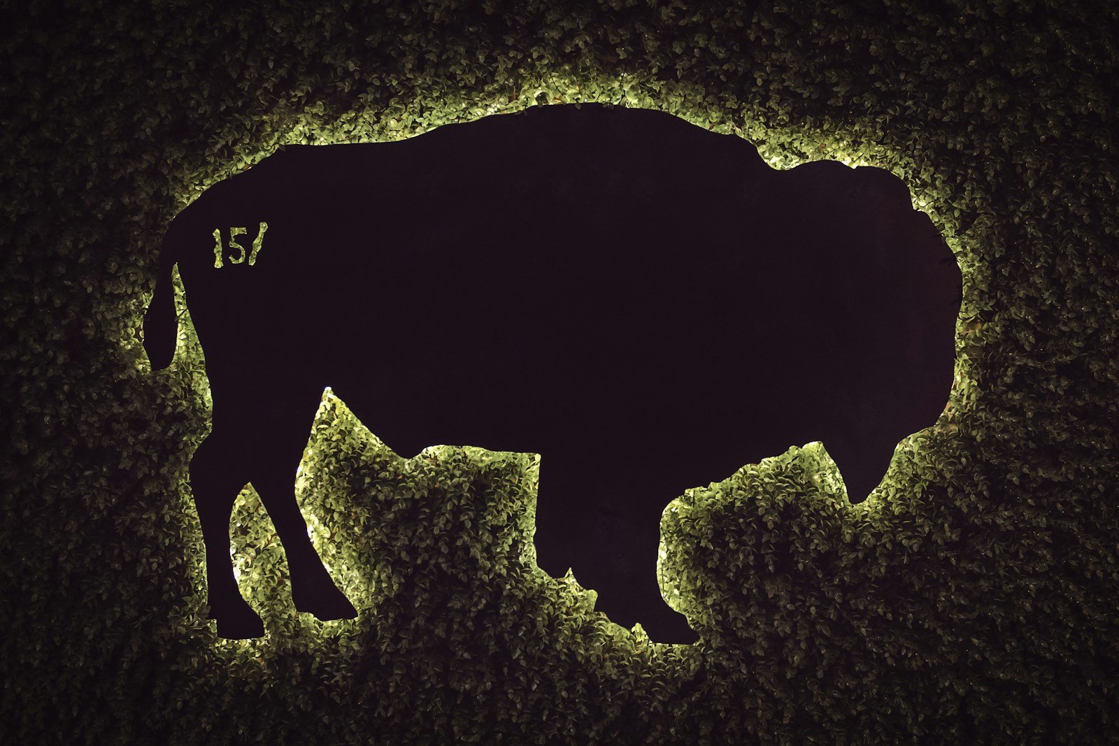 The Perfect Animal Companion for Every Earth Sign