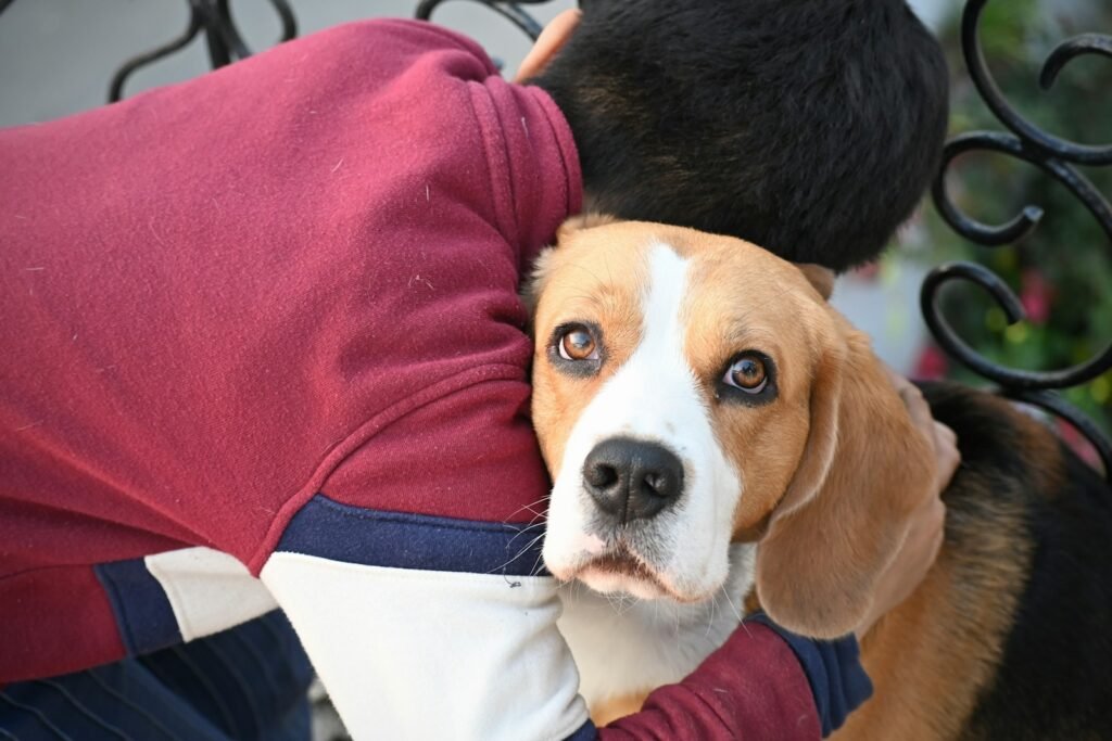 a brown and white dog sitting on top of a bench