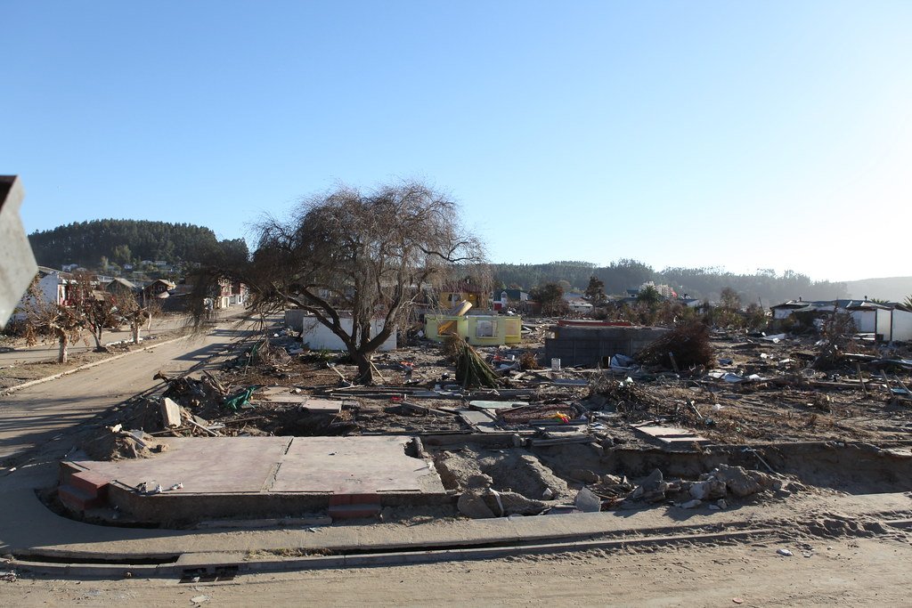 The Reality of Survival When Chaos Strikes