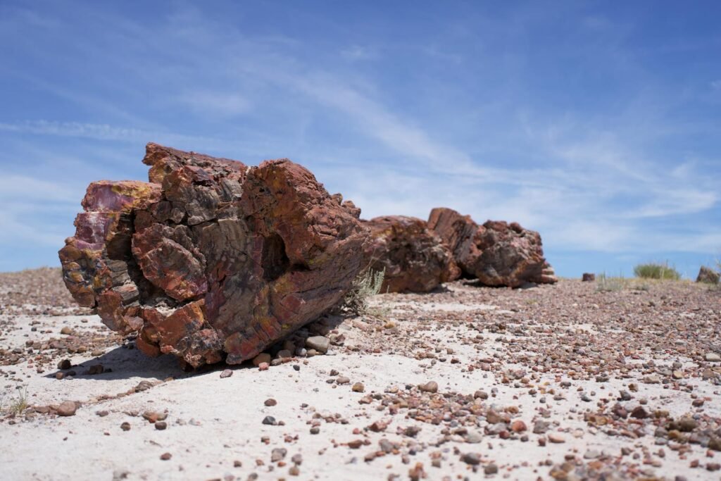 Petrified wood log in the stunning desert landscape of Petrified Forest National Park, Arizona.