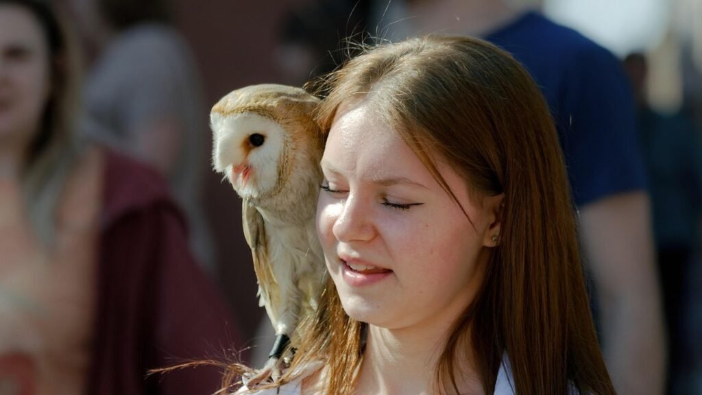8 American Cities Where Owls Rule the Night - Citizen Science Results