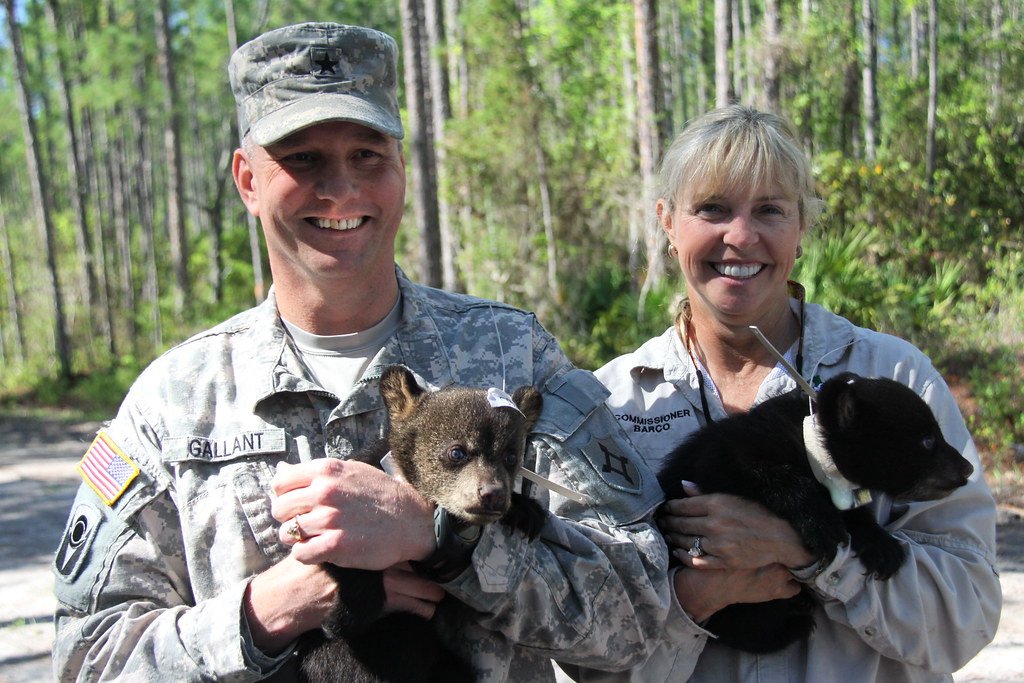 12 State Programs That Quietly Saved Endangered Species