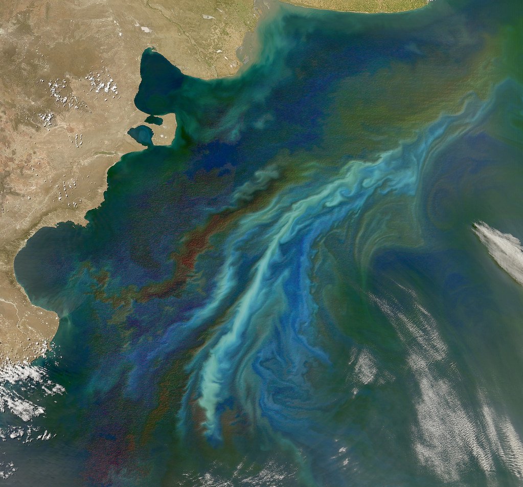 The Ocean's Hidden Rivers: How Water Flows Beneath the Sea