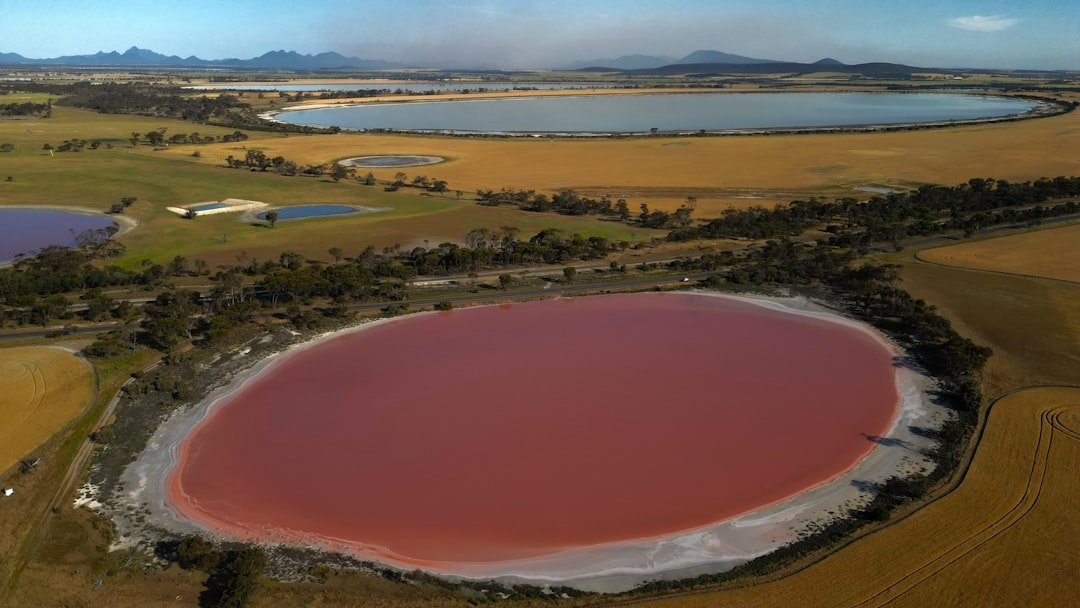Why Some Lakes Turn Pink Every Summer