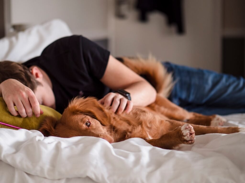 8 Things Sleeping With Your Pet Says About Your Personality