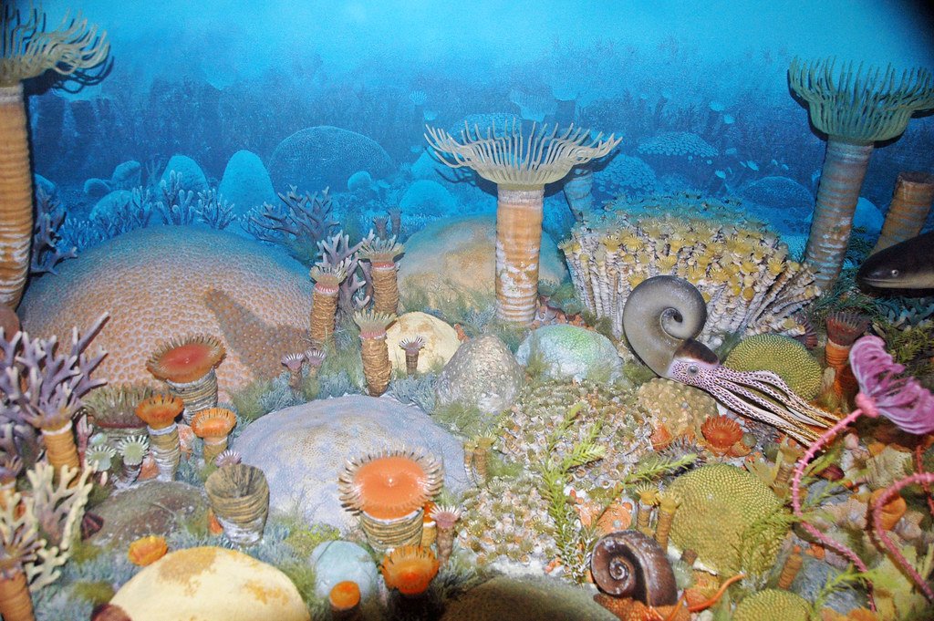 When a Reef Collapsed - Did It Reshape an Entire Prehistoric Coastline?