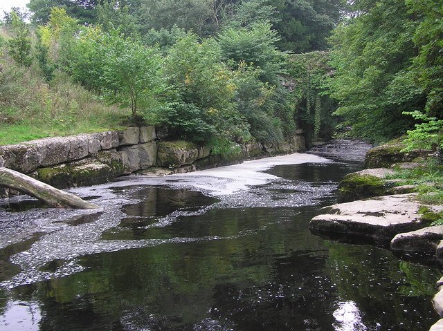 Rivers That Seem to Flow Uphill - Optical Illusion or Gravity Trick?