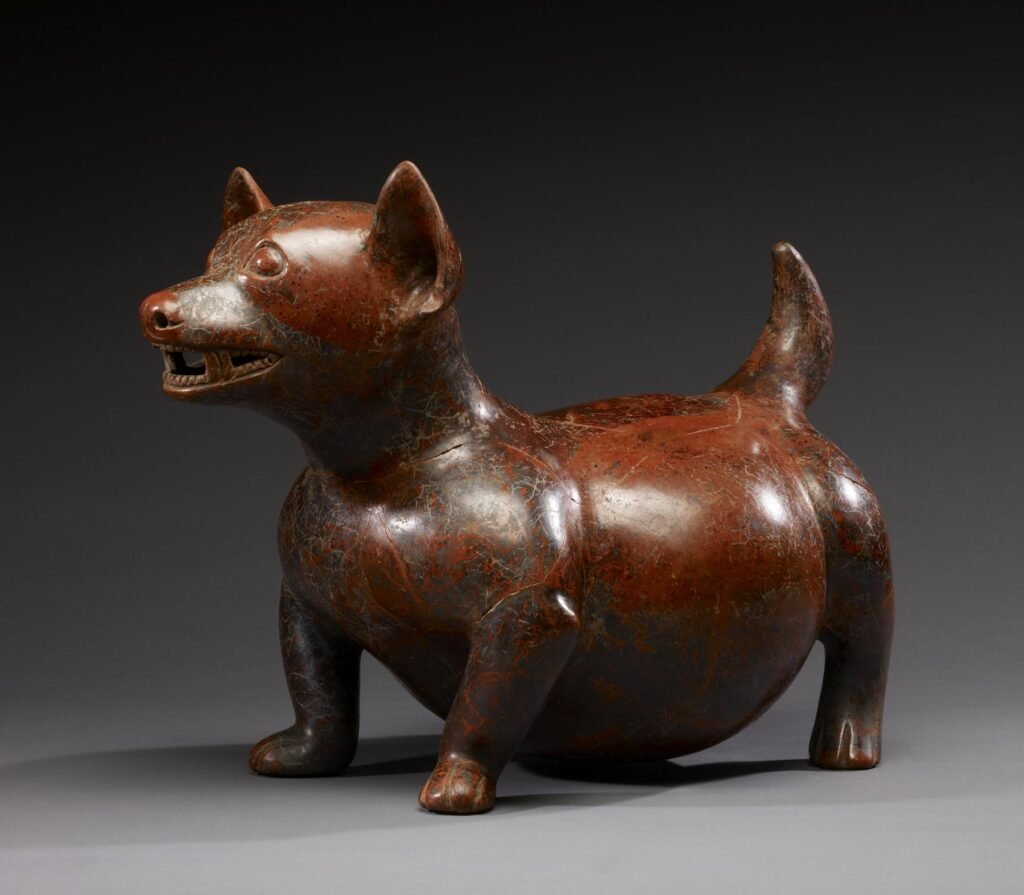 Ancient Dogs of the Americas: What Archaeology Reveals