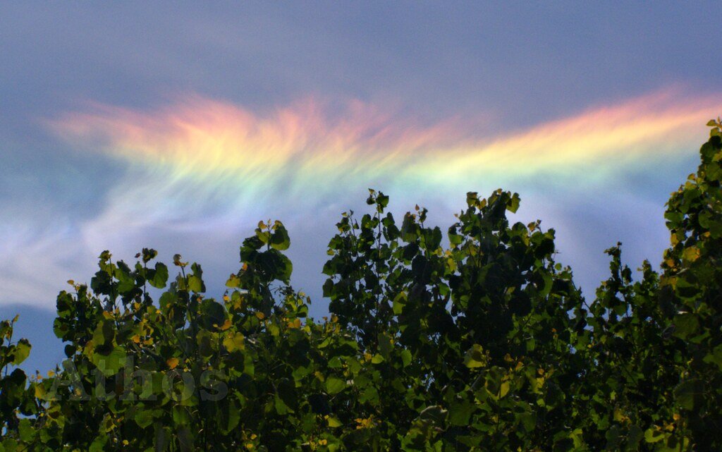 The Deadly Beauty of Fire Rainbows Explained