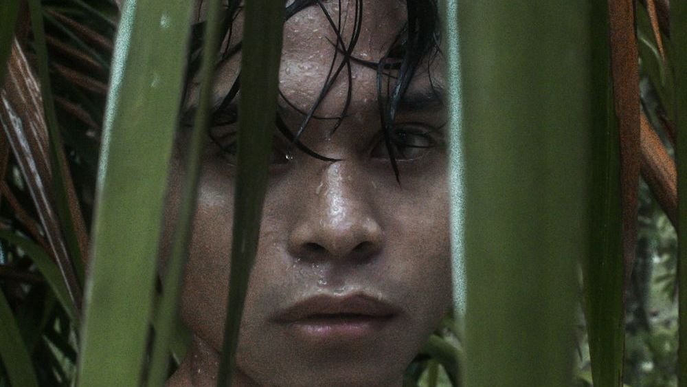 10 Fascinating Facts About the Sentinelese: The World's Most Isolated Tribe