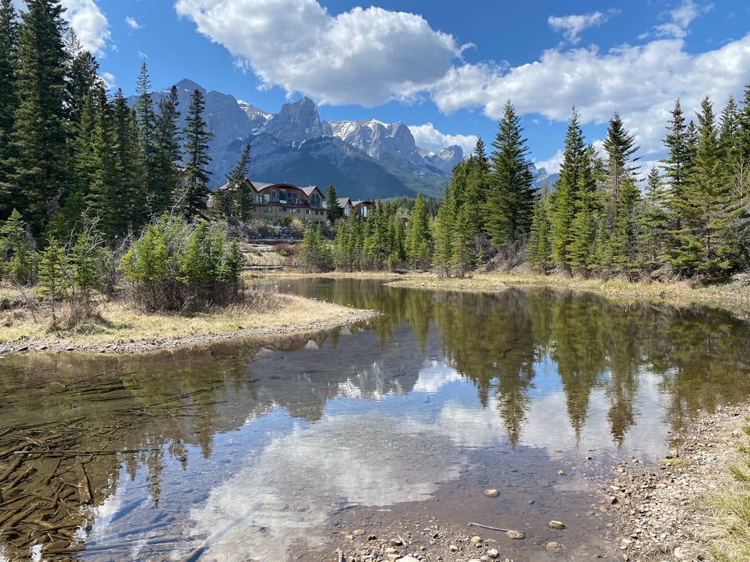 What If Humans Never Existed? Exploring Earth’s Natural History