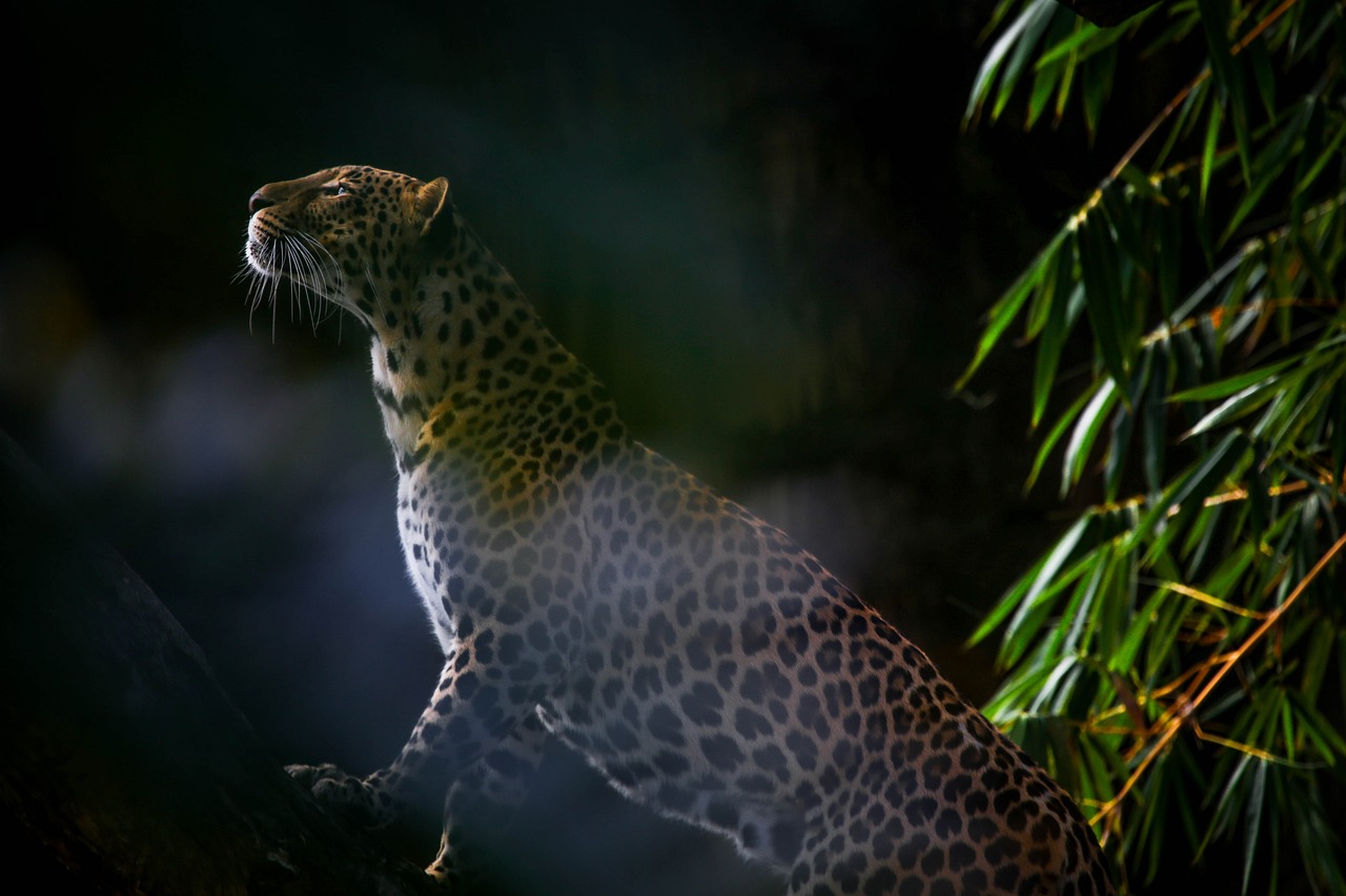 8 Incredible Animal Adaptations That Defy Scientific Explanation
