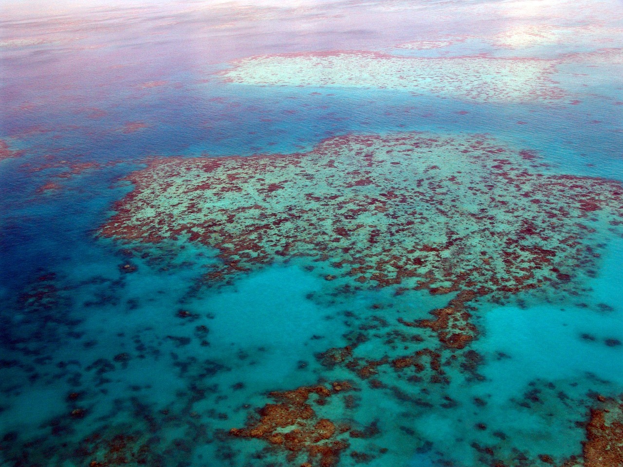 7 Facts You Didn’t Know About The Great Barrier Reef