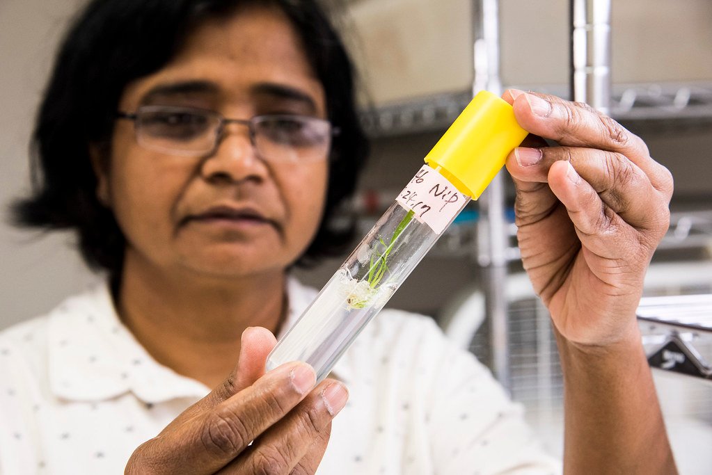 5 Scientific Breakthroughs That Could Extend Human Lifespan Dramatically