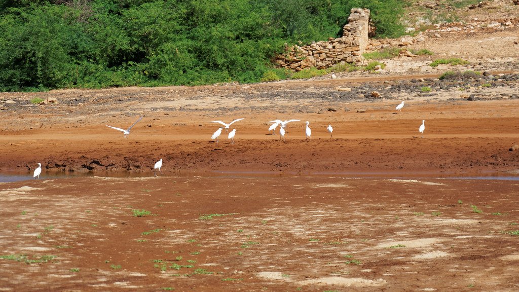 Discovery in an Abandoned Quarry