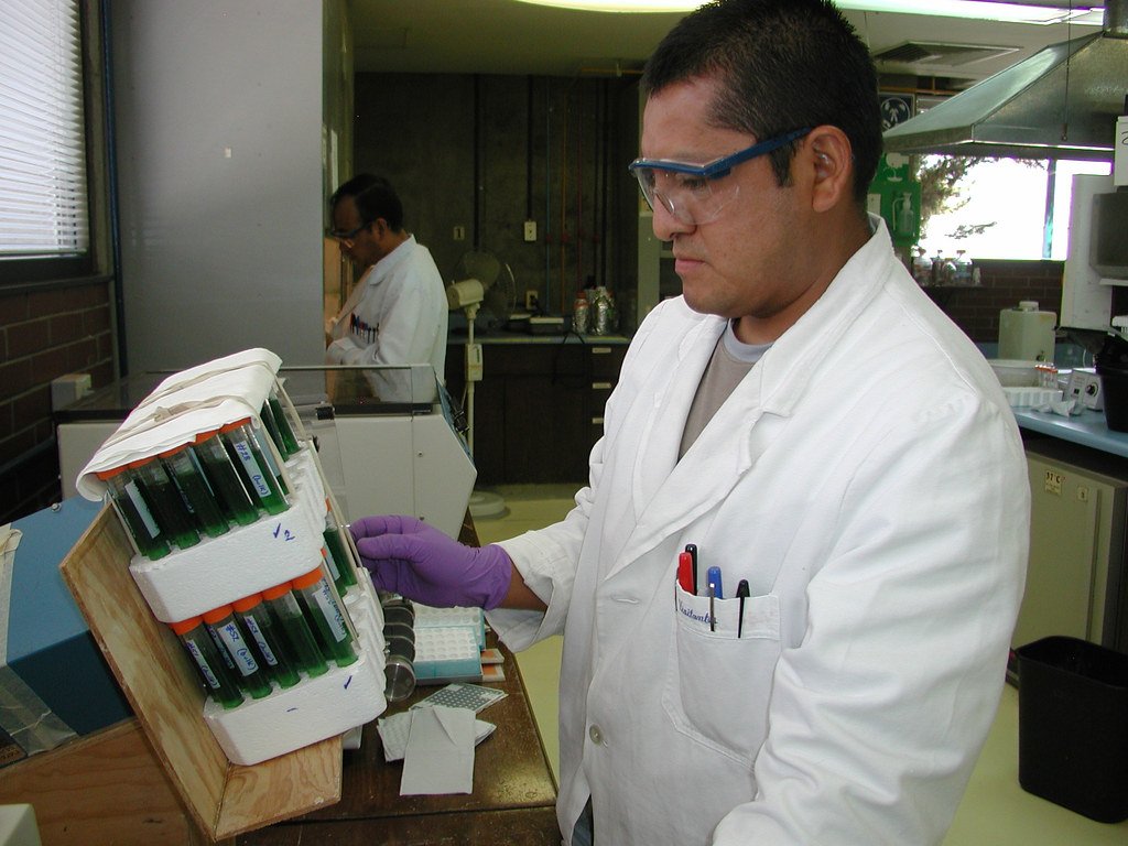 Evidence from DNA Technology Advances 