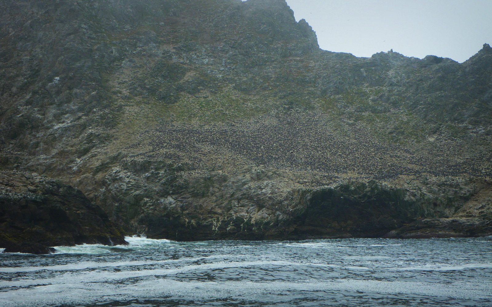 10 U.S. Beaches Where Shorebirds Nest – How to Share the Sand