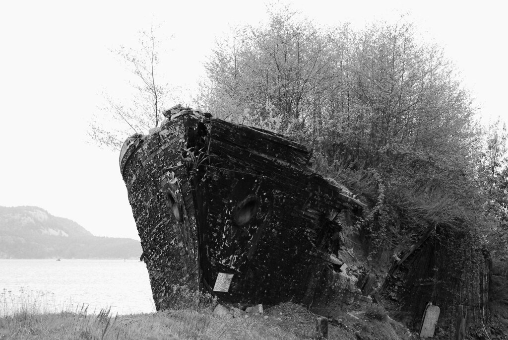 La Merced Ship Forest in Washington State 