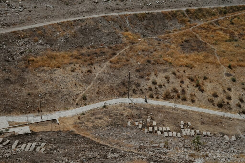 high-angle photography of farm road