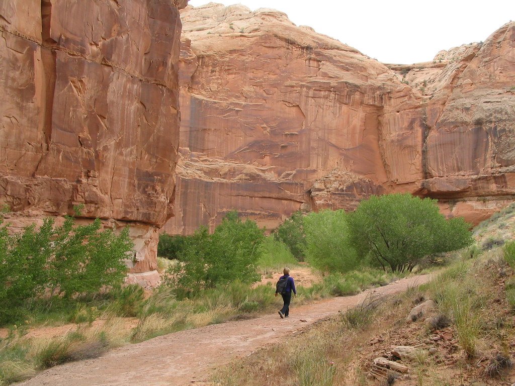 The Ultimate Social Network 