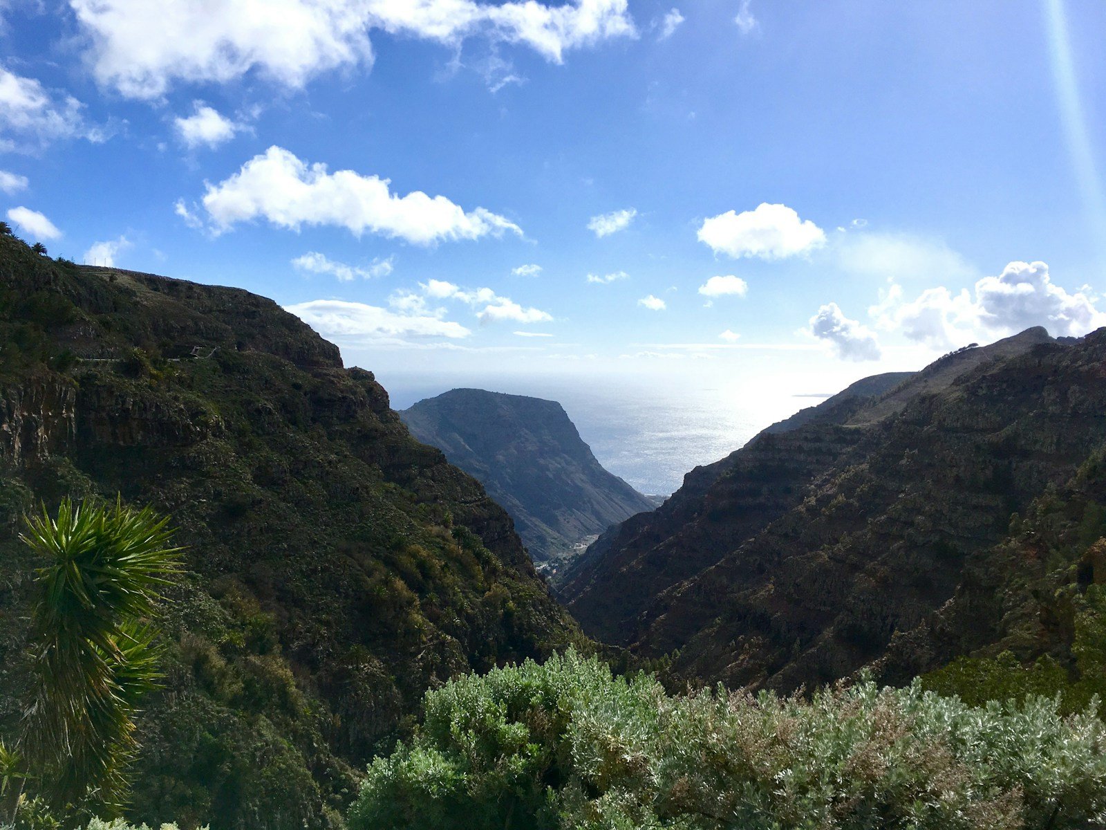 The Whistling Language of La Gomera: How an Entire Island “Speaks” Silbo