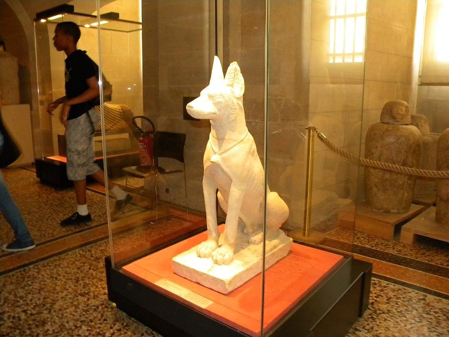 How Ancient Dogs Lived and Worked