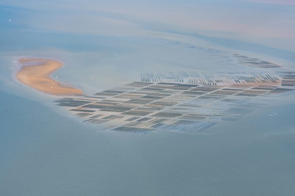 white and black building under blue sky during daytime