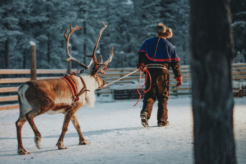 a man walking a reindeer