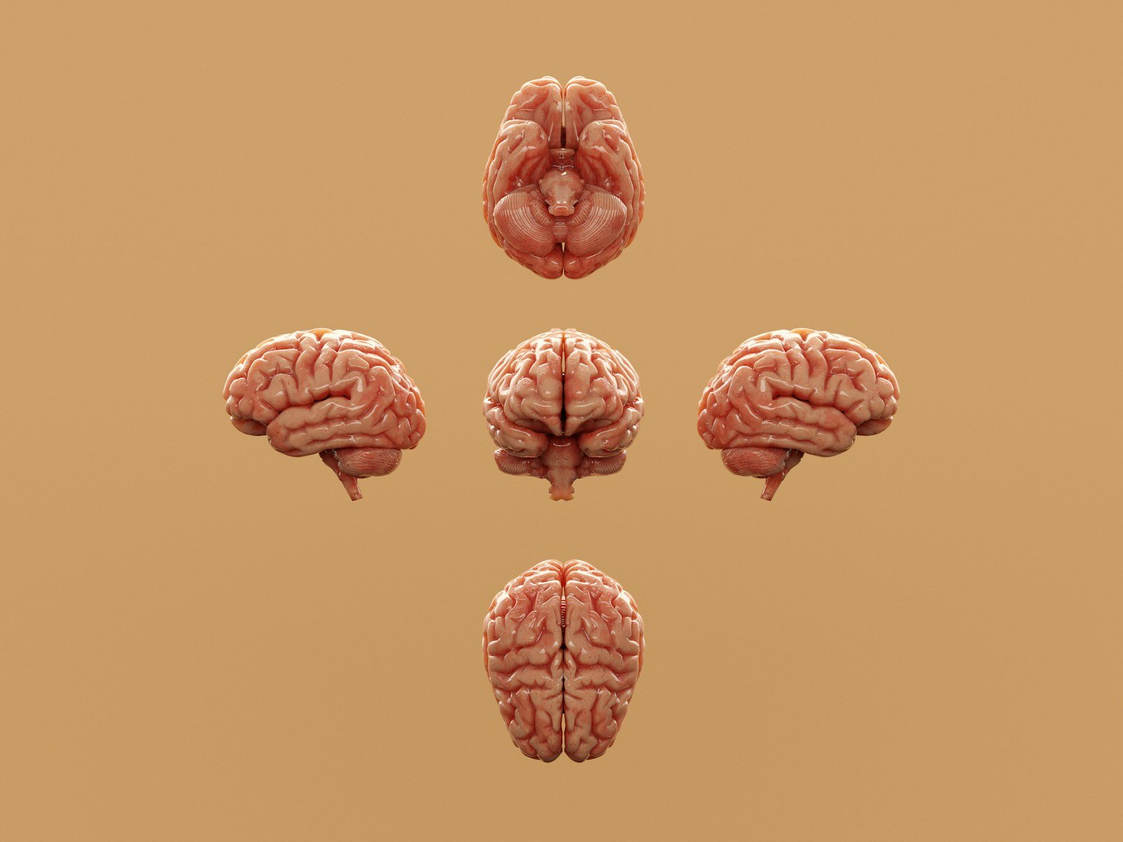 10 Interesting Facts About Unlocking Sleep: How Science Is Rewriting What We Thought We Knew