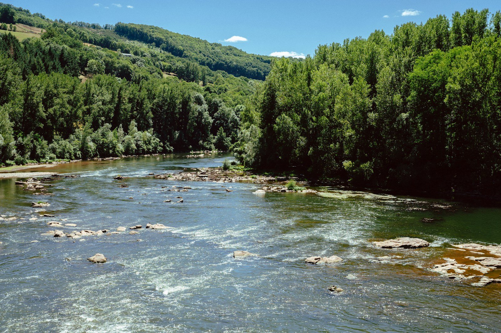 11 U.S. Dams Coming Down – What Happens to Fish Next