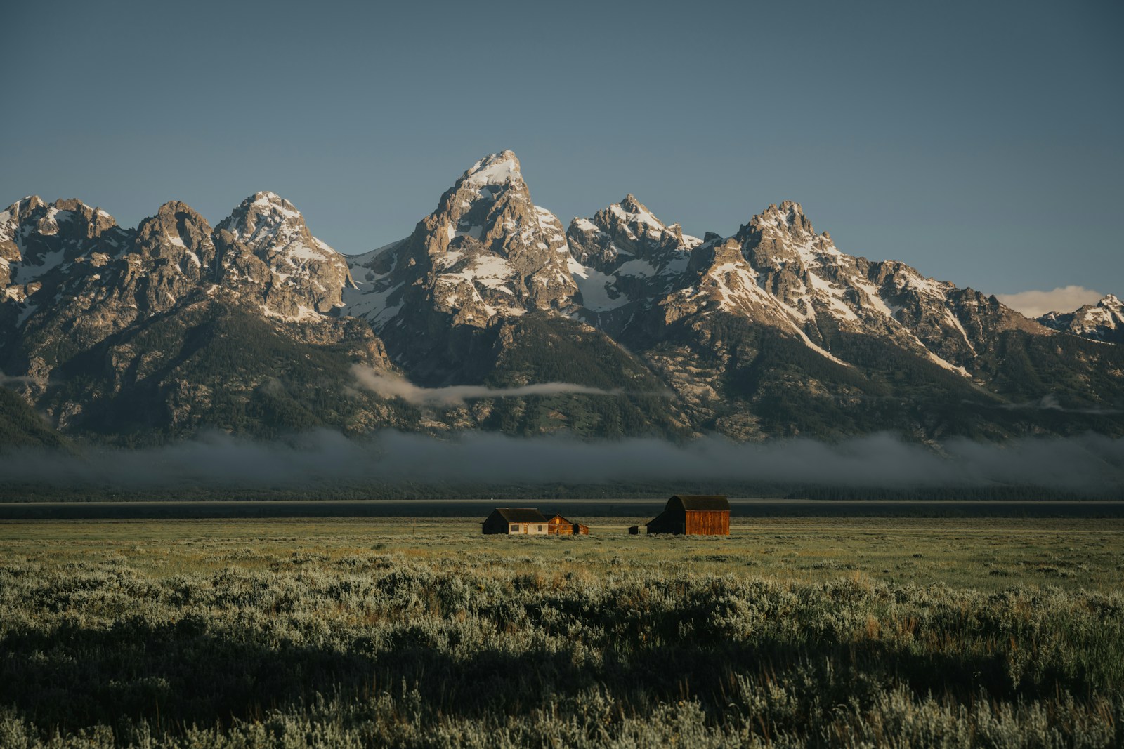 Why Wyoming Chose the Plains Bison as Its State Animal