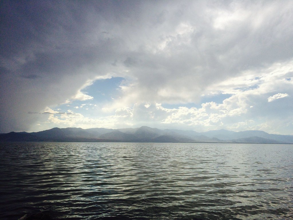 What If All Ocean Life Disappeared? The Catastrophic Ripple Effect on Earth