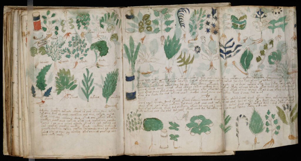 The Mystery of the Voynich Manuscript: An Unreadable Book from the Past