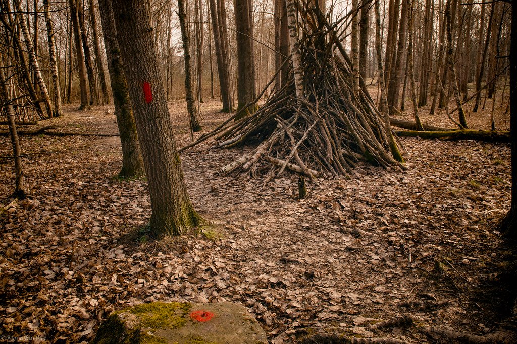 Why People Keep Throwing Sticks at The Stikhokken