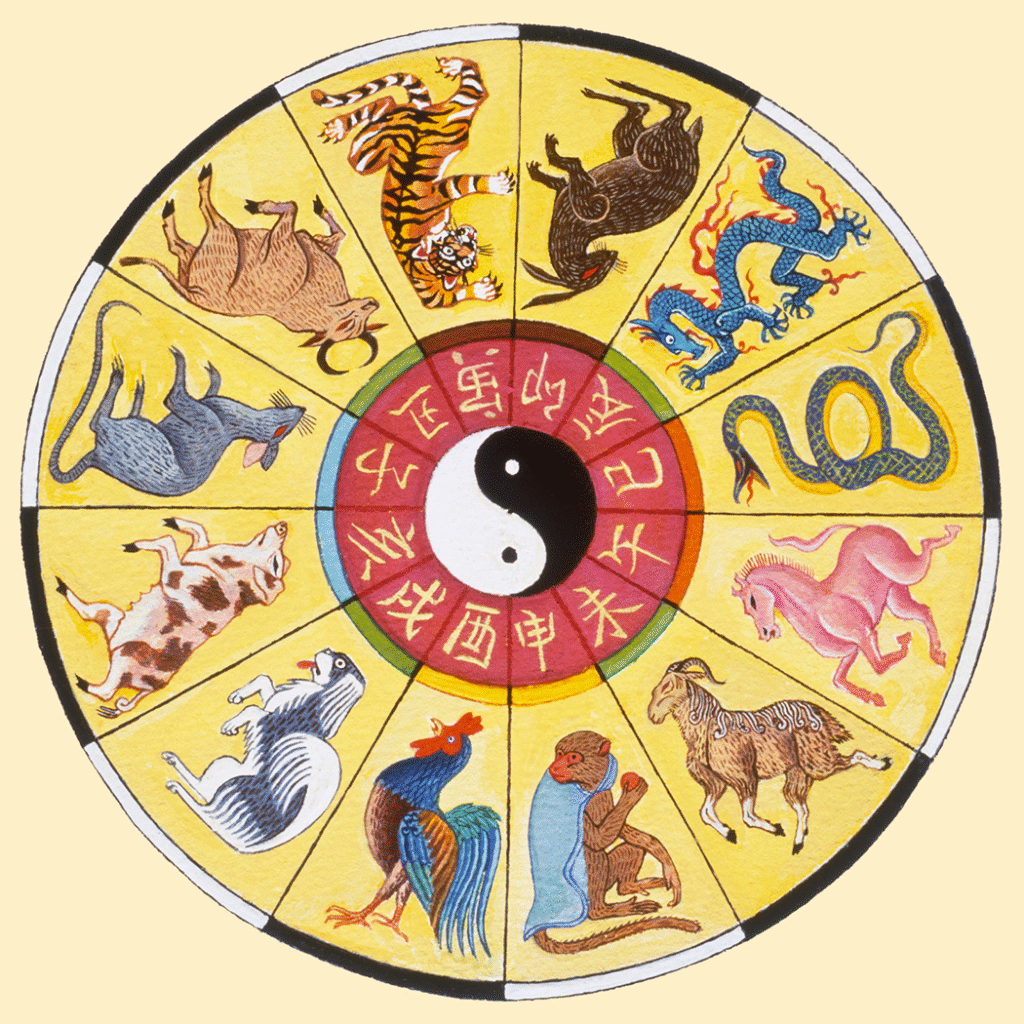 What Your Chinese Zodiac Animal Says About You