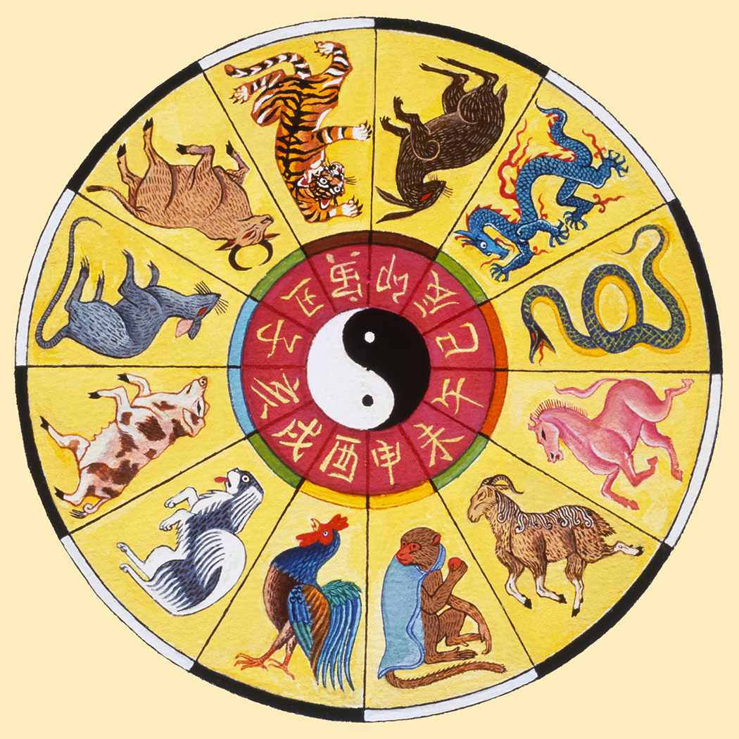 What Your Chinese Zodiac Animal Says About You