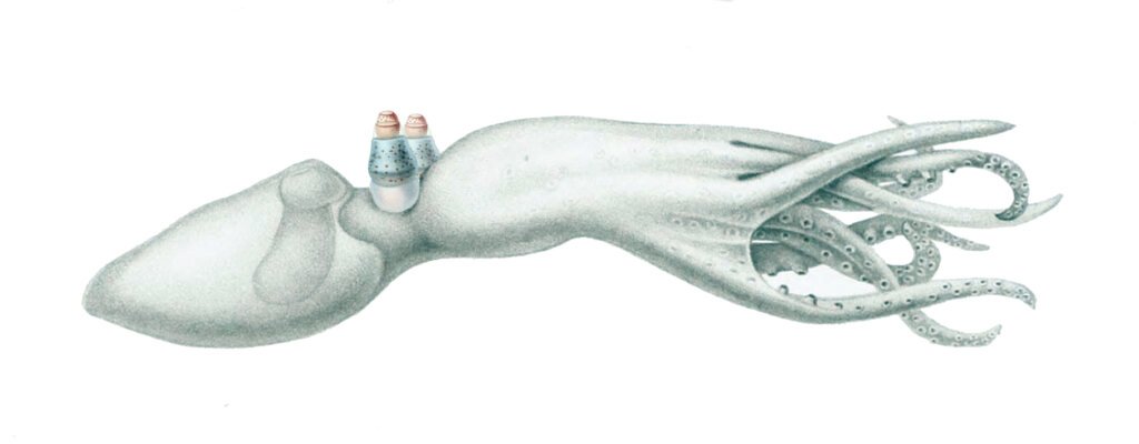 10 Mysterious Animals Discovered in the Deepest Parts of the Ocean